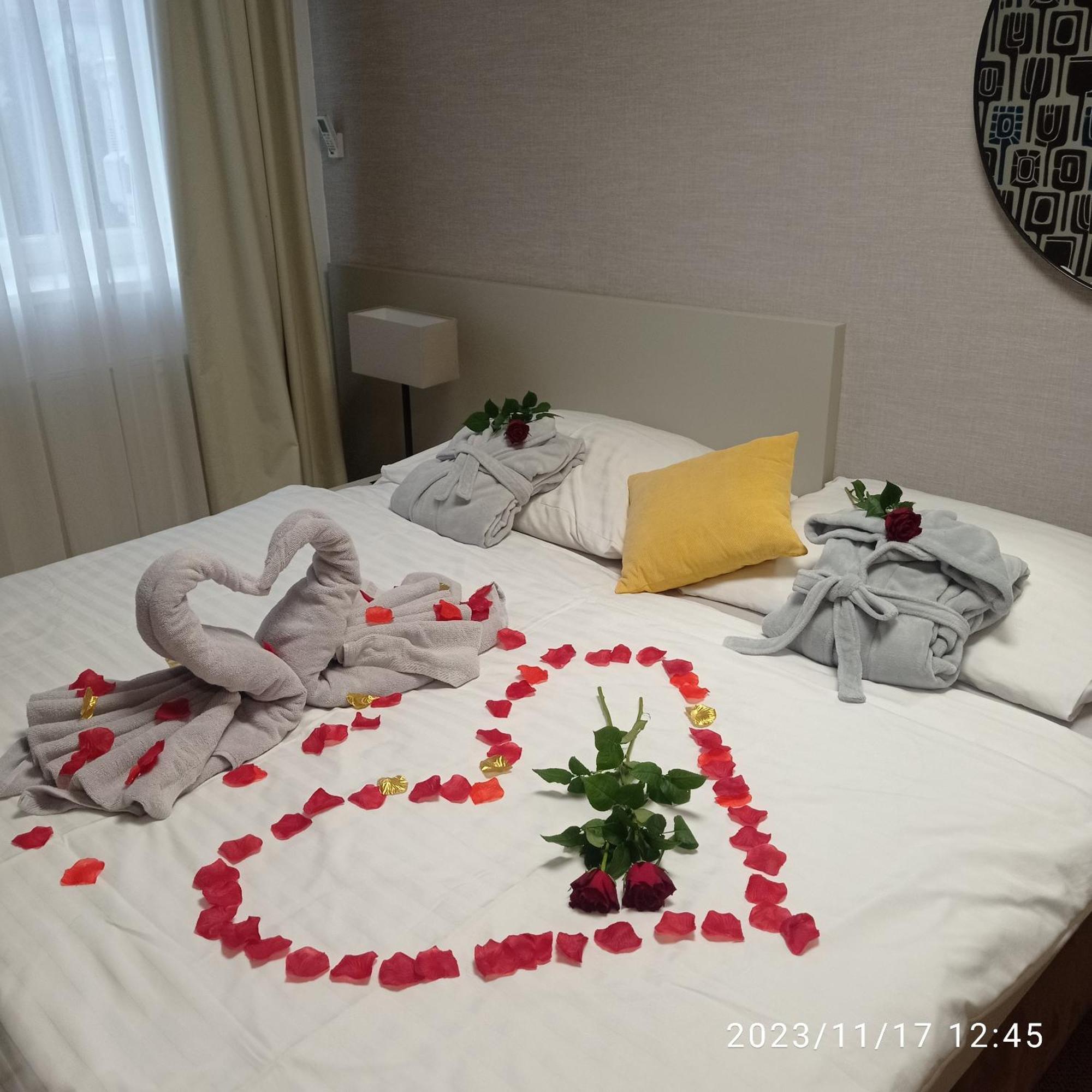 Penzion Solid Spa Hotel Mladá Boleslav Екстериор снимка